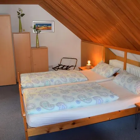 بيت ضيافة Wiesner 3*