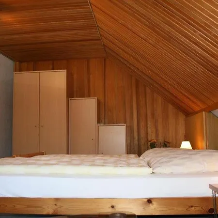 بيت ضيافة Wiesner 3*